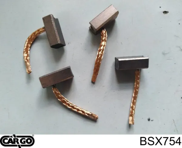 Escova do motor de arranco BSX754 Cargo