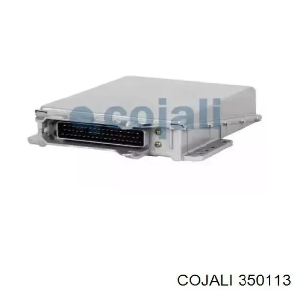 Módulo de direção (Centralina eletrônica) de motor 0281001346 Bosch