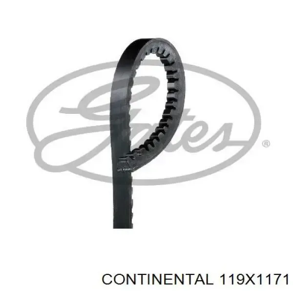 Correia dos conjuntos de transmissão 119X1171 Continental/Siemens