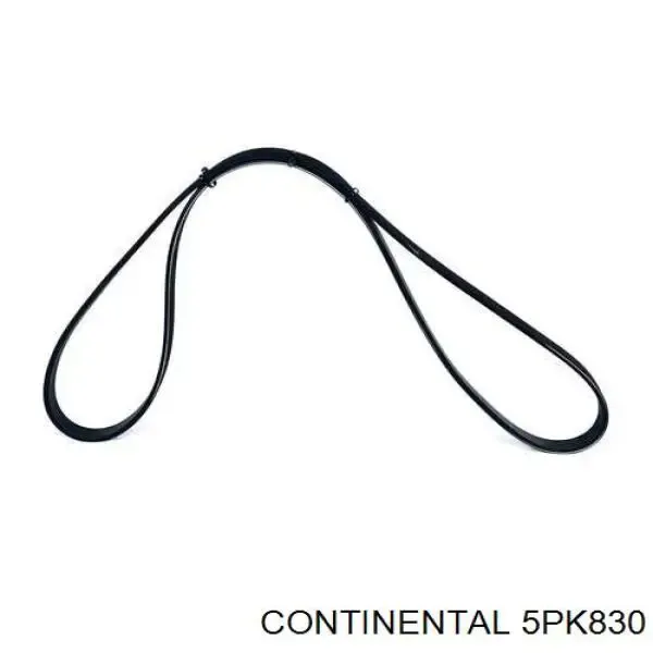 Correia dos conjuntos de transmissão 5PK830 Continental/Siemens