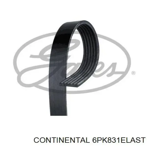 Correia dos conjuntos de transmissão 6PK831ELAST Continental/Siemens