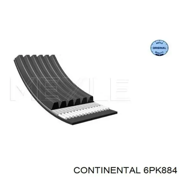 Correia dos conjuntos de transmissão 6PK884 Continental/Siemens