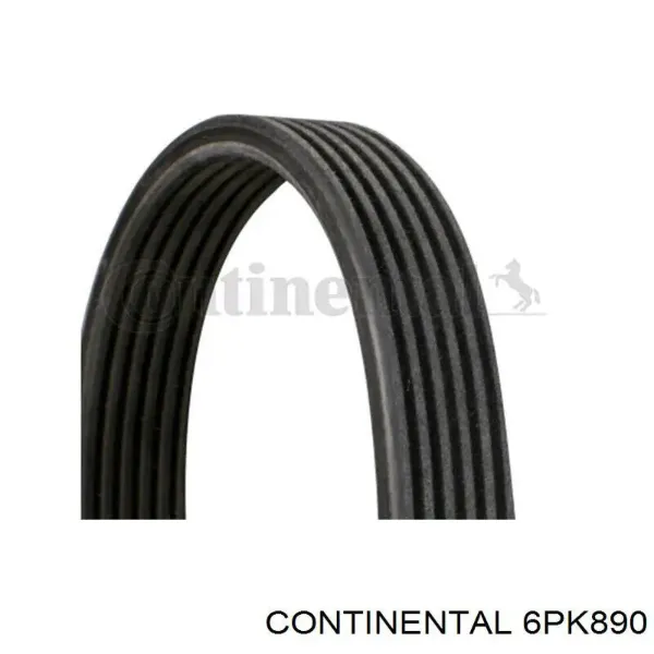 Correia dos conjuntos de transmissão 6PK890 Continental/Siemens