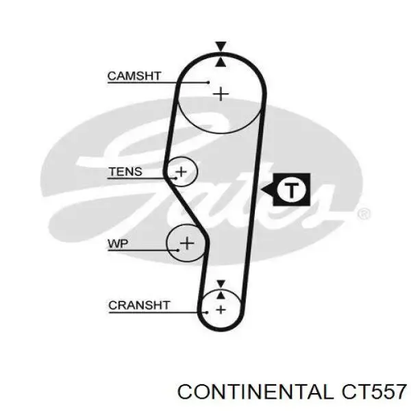 Correia do mecanismo de distribuição de gás CT557 Continental/Siemens