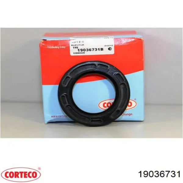Vedação dianteira de cambota de motor 19036731 Corteco