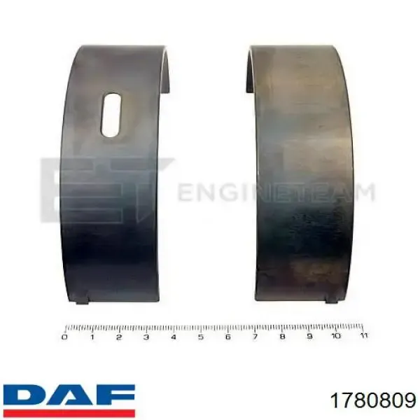 Folhas inseridas principais de cambota, kit, padrão (STD) 1780809 DAF