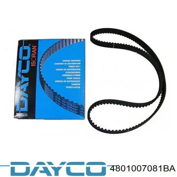 Correia do mecanismo de distribuição de gás 4801007081BA Dayco