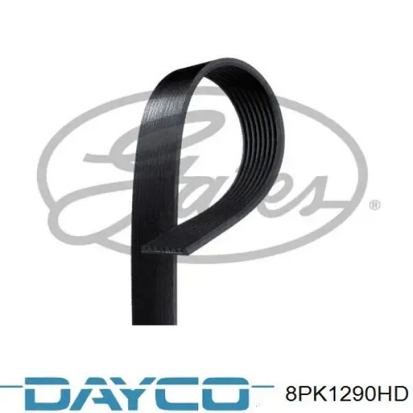 Correia dos conjuntos de transmissão 8PK1290HD Dayco