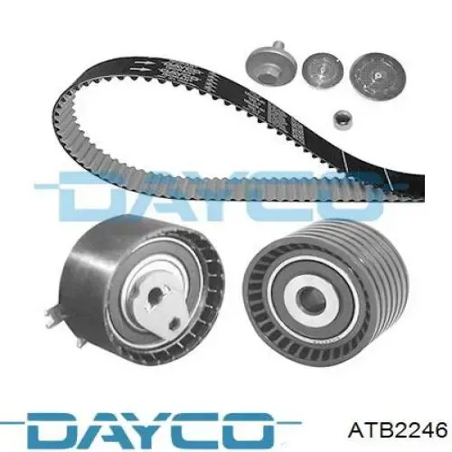 Compre ATB2246 Dayco Rolo de reguladora de tensão da correia do mecanismo de distribuição de gás