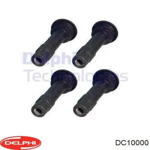  DC10000 Delphi