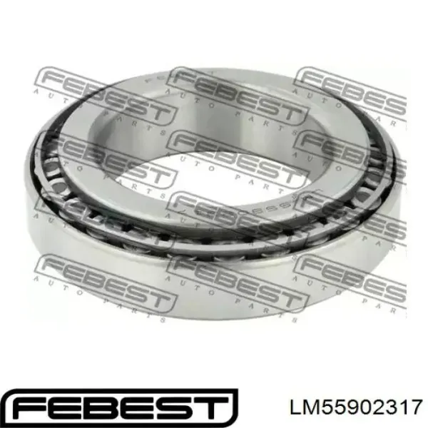 Rolamento externo de cubo traseiro 432105162R Renault (RVI)