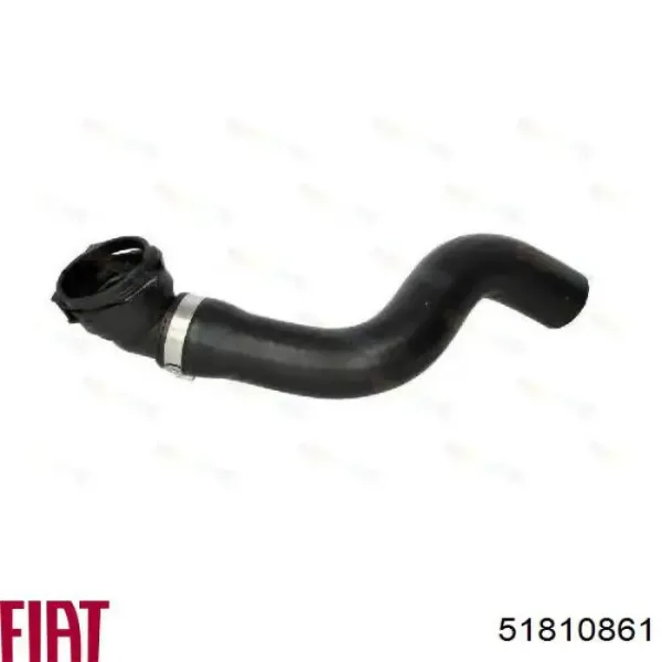 51810861 Fiat/Alfa/Lancia Mangueira (cano derivado) do radiador de esfriamento superior