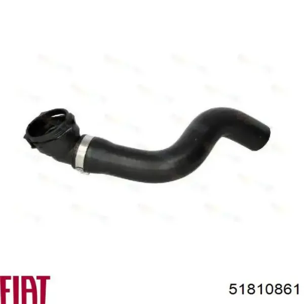 Mangueira (cano derivado) do radiador de esfriamento superior 51810861 Fiat/Alfa/Lancia