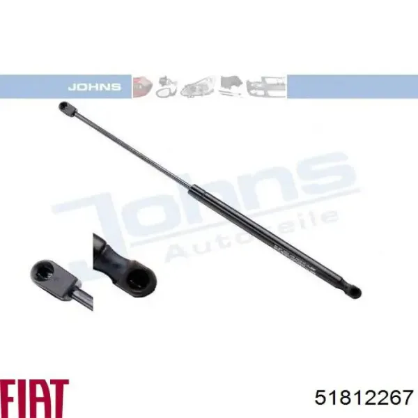 Amortecedor de tampa de porta-malas (de 3ª/5ª porta traseira) 51812267 Fiat/Alfa/Lancia