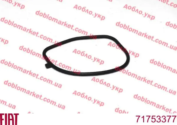 Vedante de termostato para Fiat 500  312