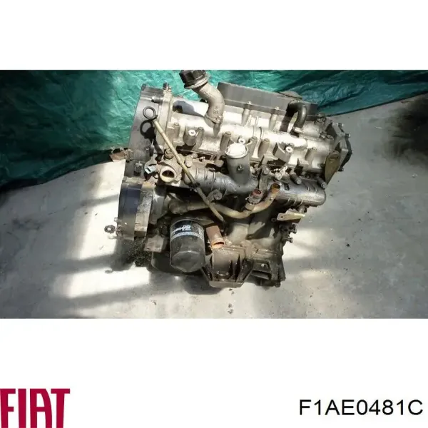Motor montado F1AE0481C Fiat/Alfa/Lancia