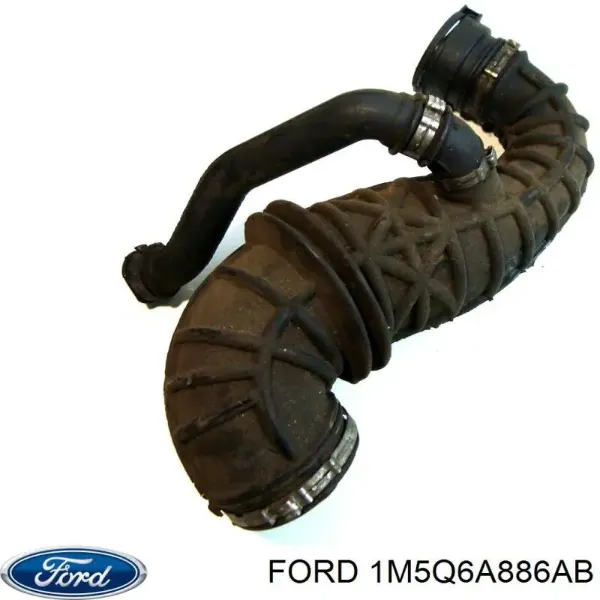 Cano derivado de ventilação de cárter (de separador de óleo) 1M5Q6A886AB Ford