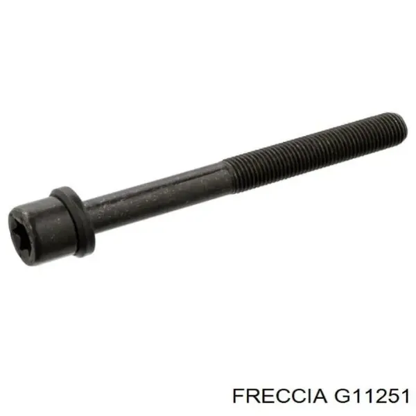 Guia de válvula G11251 Freccia