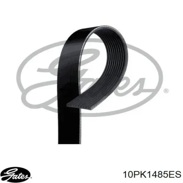Correia dos conjuntos de transmissão 10PK1485ES Gates