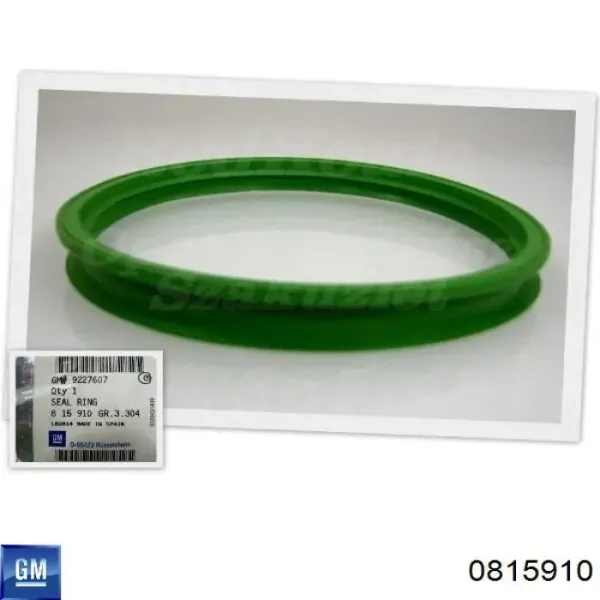Vedante de sensor do nível de combustível/da bomba de combustível (tanque de combustível) 0815910 General Motors