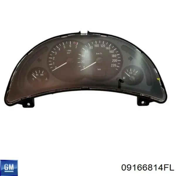  09166814FL General Motors