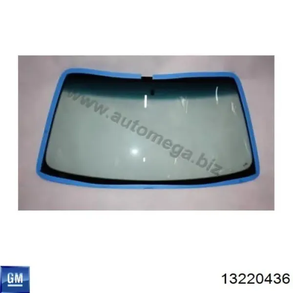 Pára-brisas GS5206D12 FPS