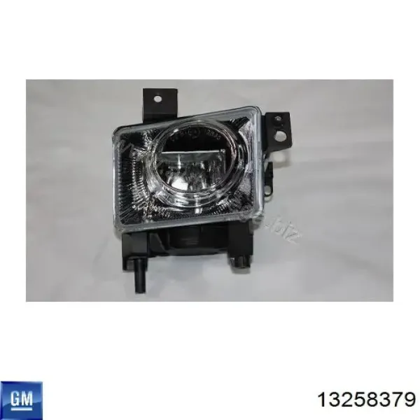 Luzes de nevoeiro direitas 13258379 General Motors