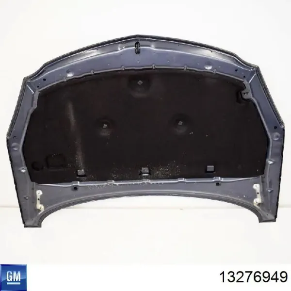 Capota 13276949 General Motors
