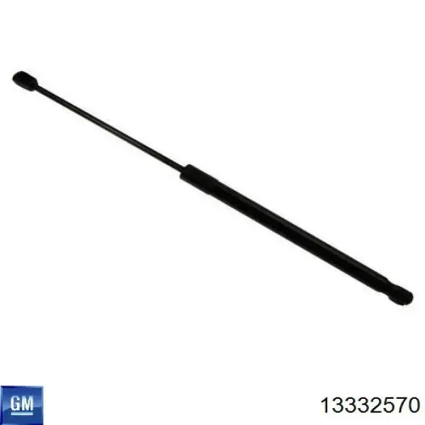 Amortecedor de tampa de porta-malas (de 3ª/5ª porta traseira) 13332570 General Motors