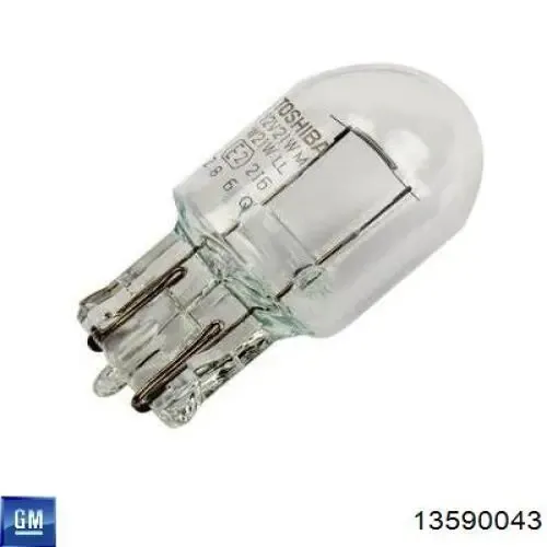 Lanterna da luz de fundo de matrícula traseira 13590043 General Motors