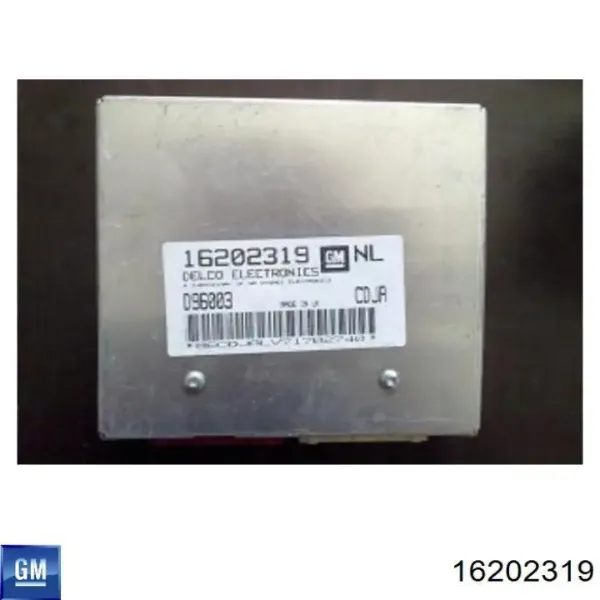 Módulo de direção (Centralina eletrônica) de motor 16202319 General Motors