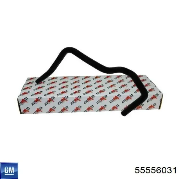  55556031 General Motors