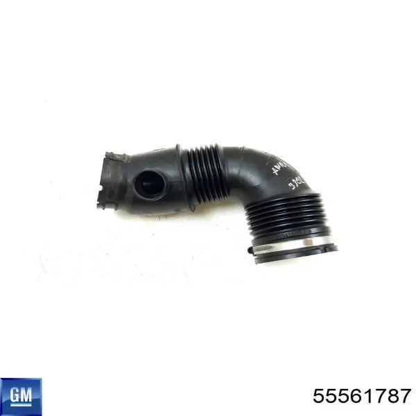 Cano derivado de ar do medidor de consumo do ar 55561787 General Motors