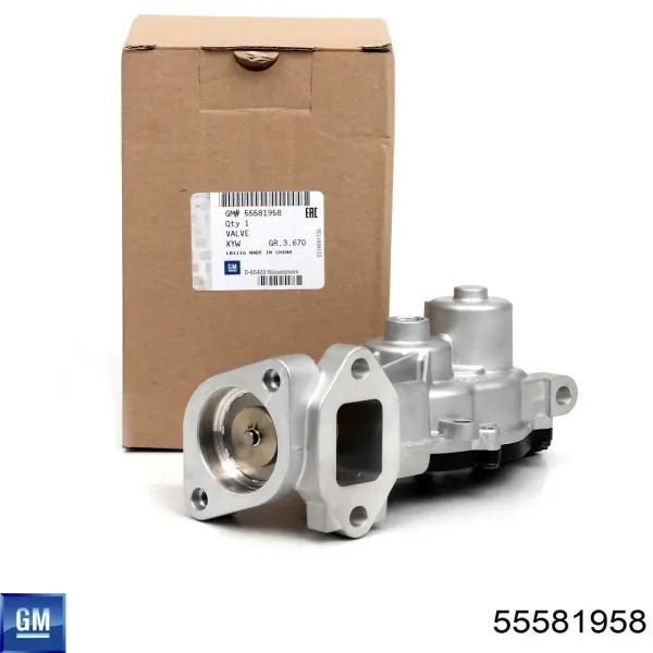 Válvula EGR de recirculação dos gases 555339 ERA