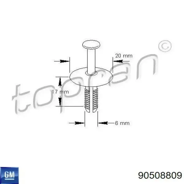 Cápsula (prendedor) de fixação do pára-choque dianteiro 90508809 General Motors