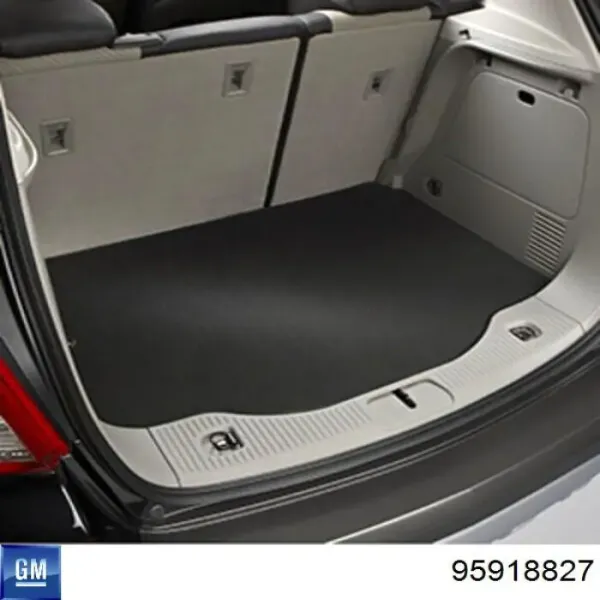 Protetores de lama dianteiros, kit 95918827 General Motors