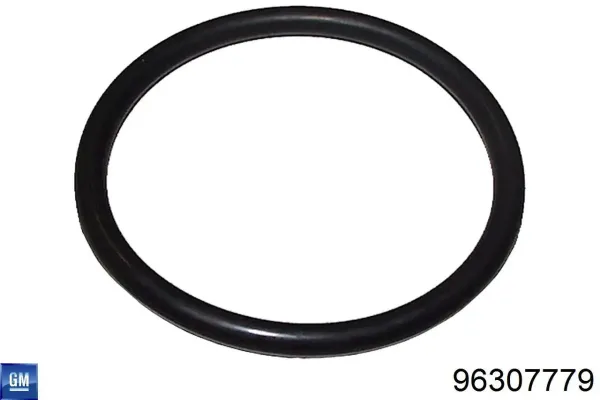 Vedante de termostato Chevrolet Captiva I