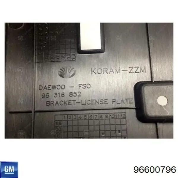 Painel de fixação de matrícula dianteira SF48Y02807015 ZAZ