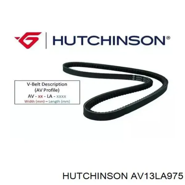 Correia dos conjuntos de transmissão AV13LA975 Hutchinson