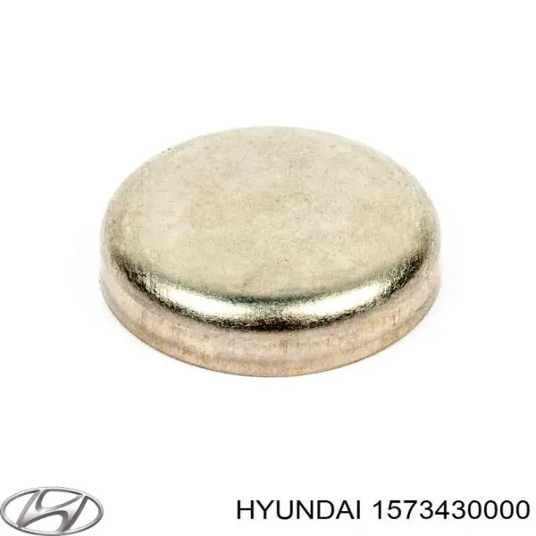 Tampão CBC/do bloco de cilindros para Hyundai Getz  