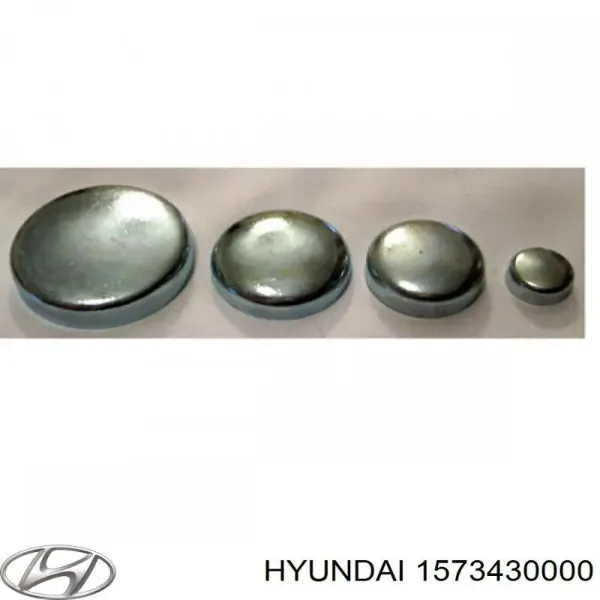 Tampão CBC/do bloco de cilindros Hyundai Getz hatchback (TB) (2002 - 2011) preço, a partir de