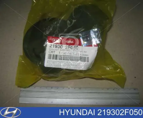 Coxim (suporte) traseiro de motor 219302F050 Hyundai/Kia