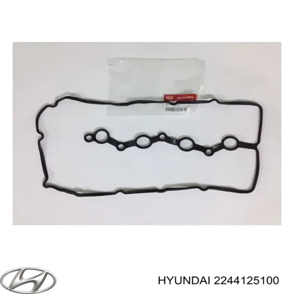 Vedante de tampa de válvulas de motor 2244125100 Hyundai/Kia