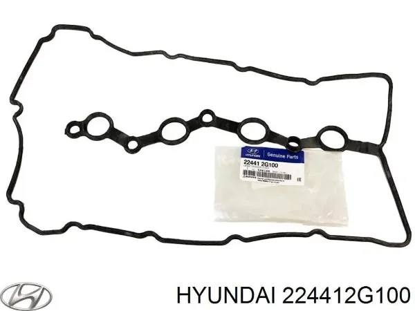 Vedante de tampa de válvulas de motor 224412G100 Hyundai/Kia