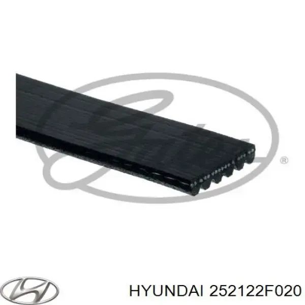 Correia dos conjuntos de transmissão 252122F020 Hyundai/Kia