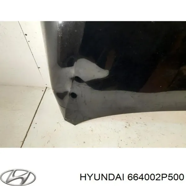 Capota 664002P500 Hyundai/Kia