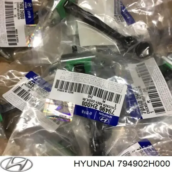 Limitador traseiro direito de abertura de porta 794902H000 Hyundai/Kia