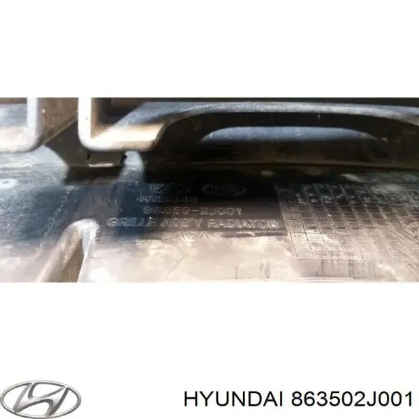 Grelha do radiador 863502J001 Hyundai/Kia