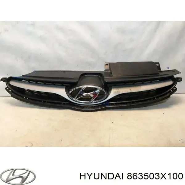 Grelha do radiador 863503X100 Hyundai/Kia