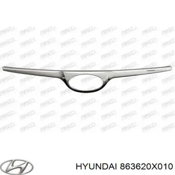 Grelha do radiador Hyundai I10 PA